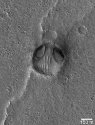 NASA's Mars Global Surveyor shows an impact crater in Chryse Planitia resemblling a bug-eyed head. Two odd depressions at the north end of the crater (the 'eyes') may have formed by wind or water erosion.