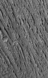 NASA's Mars Global Surveyor shows yardangs in the Aeolis region of Mars, formed by wind erosion, and large ripples formed in wind by deposition of sediment.