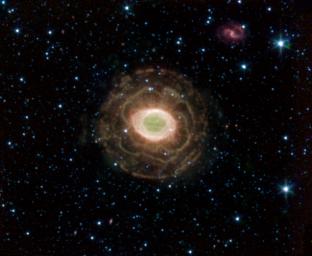 NASA's Spitzer Space Telescope finds a delicate flower in the Ring Nebula, as shown in this image. The outer shell of this planetary nebula looks surprisingly similar to the delicate petals of a camellia blossom. 