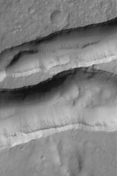 NASA's Mars Global Surveyor shows layered material in the walls of troughs in the Sirenum Fossae region of Mars. Also evident are large windblown ripples and boulders on their floors.