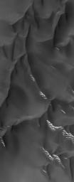 NASA's Mars Global Surveyor shows dark dunes on a crater floor on Mars during the southern spring. Some of the dunes have frost on their south-facing slopes.