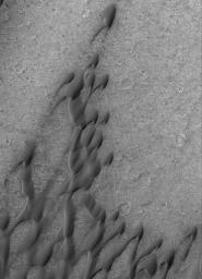 NASA's Mars Global Surveyor shows windblown sand dunes on the southeastern floor of Herschel Crater on Mars.