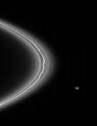 The shepherd moon, Pandora, is seen here alongside the narrow F ring that it helps maintain. Pandora is 84 kilometers (52 miles) across. NASA's Cassini spacecraft obtained this view from about four degrees above the ringplane.