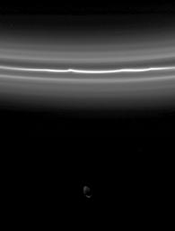 Saturn's moon Pandora is almost overwhelmed by the brightness of the F ring in this view from NASA's Cassini spacecraft. The F ring's bright core displays kinks and is flanked by fainter ringlets.