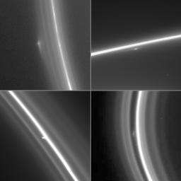 This montage of four enhanced NASA Cassini narrow-angle camera images shows bright clump-like features at different locations within the F ring.
