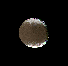 Saturn's two-faced moon tilts and rotates for NASA's Cassini spacecraft in this mesmerizing image acquired during the spacecraft's close encounter with Iapetus on Nov. 12, 2005.