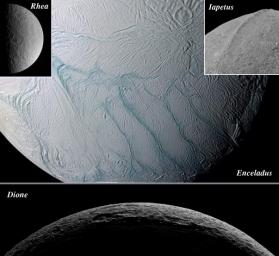 This montage shows four major icy moons of Saturn that NASA's Cassini spacecraft visited while surveying the Saturnian system during 2005. Largely of ice, they exhibit remarkably different geological histories and varied surface features.