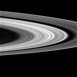 This image from NASA's Cassini spacecraft shows a ghostly white streak, called a spoke, in Saturn's B ring. This is the first sighting of a spoke in nearly a year, and the first spoke seen by Cassini on the sunlit side of the rings.