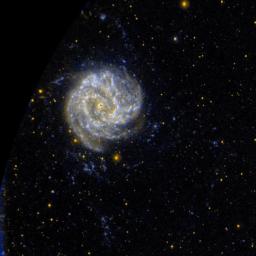 Ultraviolet images such as this one from NASA's Galaxy Evolution Explorer suggest the M83 has unusual pockets of star formation separated by large distances from the spiral arms in the main disk of the galaxy.