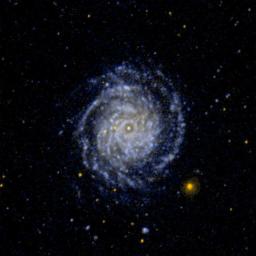 This ultraviolet image from NASA's Galaxy Evolution Explorer is of the large face on spiral galaxy NGC 3344. The inner spiral arms are wrapped so tightly that they are difficult to distinguish.