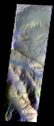 This false-color image from NASA's Mars Odyssey spacecraft shows part of the central ridge in Coprates Chasma, taken during Mars' southern fall season.