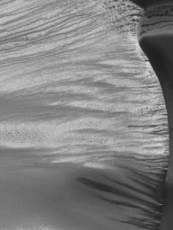 NASA's Mars Global Surveyor shows gullies on a large slip face in the Russell Crater dune field on Mars covered with seasonal frost.