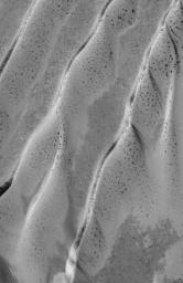NASA's Mars Global Surveyor shows defrosting south high latitude dunes on Mars. In late winter and into the spring season, dark spots commonly form on dunes and other surfaces as seasonal carbon dioxide begins to sublime away.