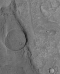 NASA's Mars Global Surveyor shows a circular mesa that is the remains of an old crater bottom. The crater was mostly washed away by floods that poured from the southeast toward the northwest in the Mangala Valles system of Mars.