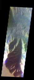 This false-color image from NASA's Mars Odyssey spacecraft shows a canyon wall located in Hebes Chasma, taken during Mars' southern fall season.