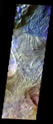 This false-color image from NASA's Mars Odyssey spacecraft shows part of the floor of Candor Chasma in central Valles Marineris, taken during Mars' southern fall season.