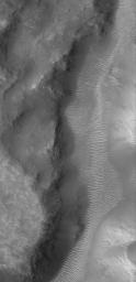 NASA's Mars Global Surveyor shows a portion of a martian valley, perhaps long, long ago carved by a liquid such as water, in northern Terra Cimmeria on Mars. The floor is covered with large, light-toned, windblown ripples.