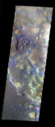 This false-color image from NASA's Mars Odyssey spacecraft shows a channel at the end of the Marwrth Valles, taken during Mars' northern spring season.