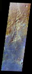 This false-color image from NASA's Mars Odyssey spacecraft shows the surface outside of Meridiani to the northeast, taken during Mars' northern spring season.