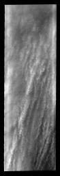 These linear clouds are just one of many storm fronts that occurred near Mars' south pole during the late southern summer season as seen by NASA's 2001 Mars Odyssey.