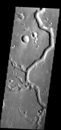 This channel and its tributaries are a part of Nanedi Vallis on Mars as seen by NASA's 2001 Mars Odyssey spacecraft.