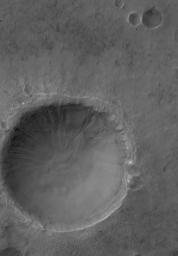 This NASA Mars Global Surveyor image shows a 1.5 meters (~5 feet) per pixel view of a crater in the Terra Cimmeria region of Mars. Several gullies extend from near the top of the crater rim, downslope toward the floor of the crater.