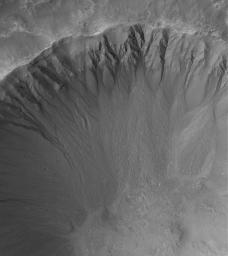 This NASA Mars Global Surveyor image shows an array of gullies in the north-northwest wall of a crater in Terra Cimmeria.