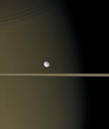 Saturn's moon Enceladus hangs like a single bright pearl against the golden-brown canvas of Saturn and its icy rings in this image captured by NASA's Cassini spacecraft.