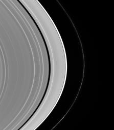 Although difficult to see at first, more than one moon is at work sculpting Saturn's rings in this view from NASA's Cassini spacecraft.