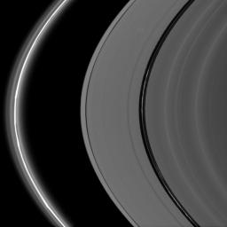 Bright, kinked ringlets fill the Encke Gap, while the F ring glows brilliantly and displays its signature knots and flanking, diffuse ringlets as seen by NASA's Cassini spacecraft.