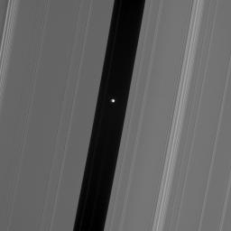 This view from NASA's Cassini spacecraft of Saturn's moon Pan in the Encke gap shows hints of detail on the moon's dark side, which is lit by saturnshine -- sunlight reflected off Saturn.