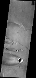 This group of windstreaks is located on lava flows west of Arsia Mons on Mars as seen by NASA's 2001 Mars Odyssey spacecraft.
