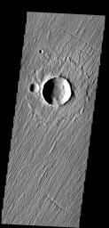 This image is from NASA's 2001 Mars Odyssey. Linear ridges on Mars cover this entire image - except for the interior of the craters.