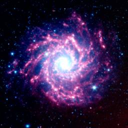 Astronomers using NASA's Spitzer Space Telescope have spotted a 'dust factory' 30 million light-years away in the spiral galaxy M74. The factory is located at the scene of a massive star's explosive death, or supernova. 