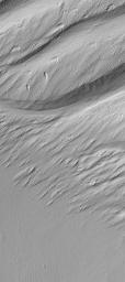 NASA's Mars Global Surveyor shows a contact between a dust-covered plain and a dust-mantled, textured upland in the Memnonia Sulci region of Mars.