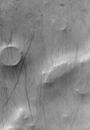 NASA's Mars Global Surveyor shows dusty terrain near the west rim of Malea Patera, located southwest of Hellas Planitia on Mars.