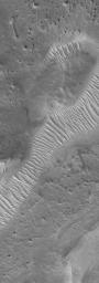 NASA's Mars Global Surveyor shows windblown materials that have collected and been shaped into large ripples in a valley in the Auqakuh Vallis system in northeastern Arabia Terra, Mars.