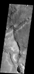 Broad channels appear to cross a substantial wrinkle ridge in the image of part of Noachis Terra on Mars as seen by NASA's Mars Odyssey spacecraft.