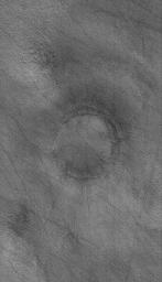 NASA's Mars Global Surveyor shows a ring marking the location of a nearly-filled, nearly-buried impact crater on the martian northern plains on Mars. Remnants of bright, seasonal frost occur in some polygonal cracks on the plain.