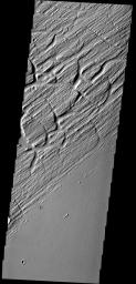 This image shows part of Sacra Sulci, a region of high standing grooves, crosscut by cracks and fractures. Lava flows are present to the south and sand dunes fill the floor of the large cracks on Mars as seen by NASA's Mars Odyssey spacecraft.