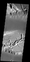 The alluvial fans on the north side of this channel possibly represent the most recent activity in Kasei Valles on Mars as seen by NASA's Mars Odyssey spacecraft.