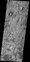 This unusual surface texture is found in Utopia Planitia on Mars as seen by NASA's Mars Odyssey spacecraft.