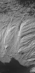 This image from NASA's Mars Global Surveyor shows outcrops of light-toned, massively-bedded rock in western Candor Chasma, part of the Valles Marineris trough system on Mars.