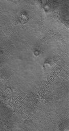 This image from NASA's Mars Global Surveyor shows the patterned ground of the cold, martian northern plains. The circular features are the sites of buried impact craters.