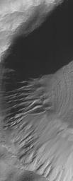 This image from NASA's Mars Global Surveyor shows gullies and cracked and stressed gully apron deposits in a south mid-latitude crater. Gullies can also be seen in the deep shadow on the north wall of the crater.