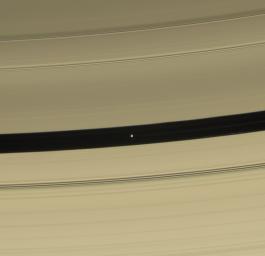 Pan is seen in this color view as it sweeps through the Encke Gap with its attendant ringlets. This image is from NASA's Cassini spacecraft.