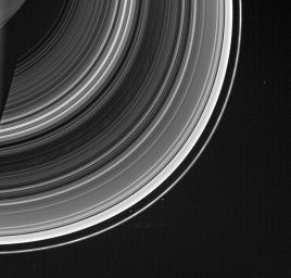 From on high, NASA's Cassini spacecraft spots a group of faint spokes against the striped landscape of the B ring, the dark region in the middle of the rings here. The spokes appear as irregular blotches.