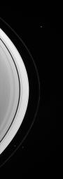 Three of the small worlds that hug the outer edges of Saturn's immense ring system are captured in portrait from NASA's Cassini spacecraft.