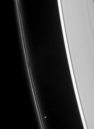 Prometheus speeds ahead of two dark gores in the F ring's inner edge. The ring's bright core swerves and twirls in its wake as seen by NASA's Cassini spacecraft.