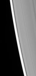 The presence of the tiny ring moon Daphnis is betrayed by the edge waves it creates in the Keeler gap. This image is from NASA's Cassini spacecraft.